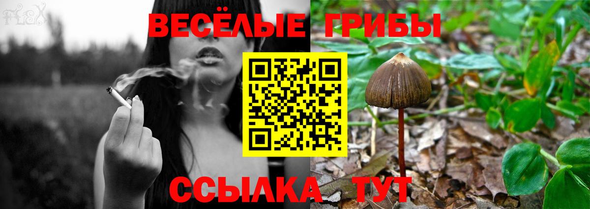 Галлюциногенные грибы ЛСД Кумертау